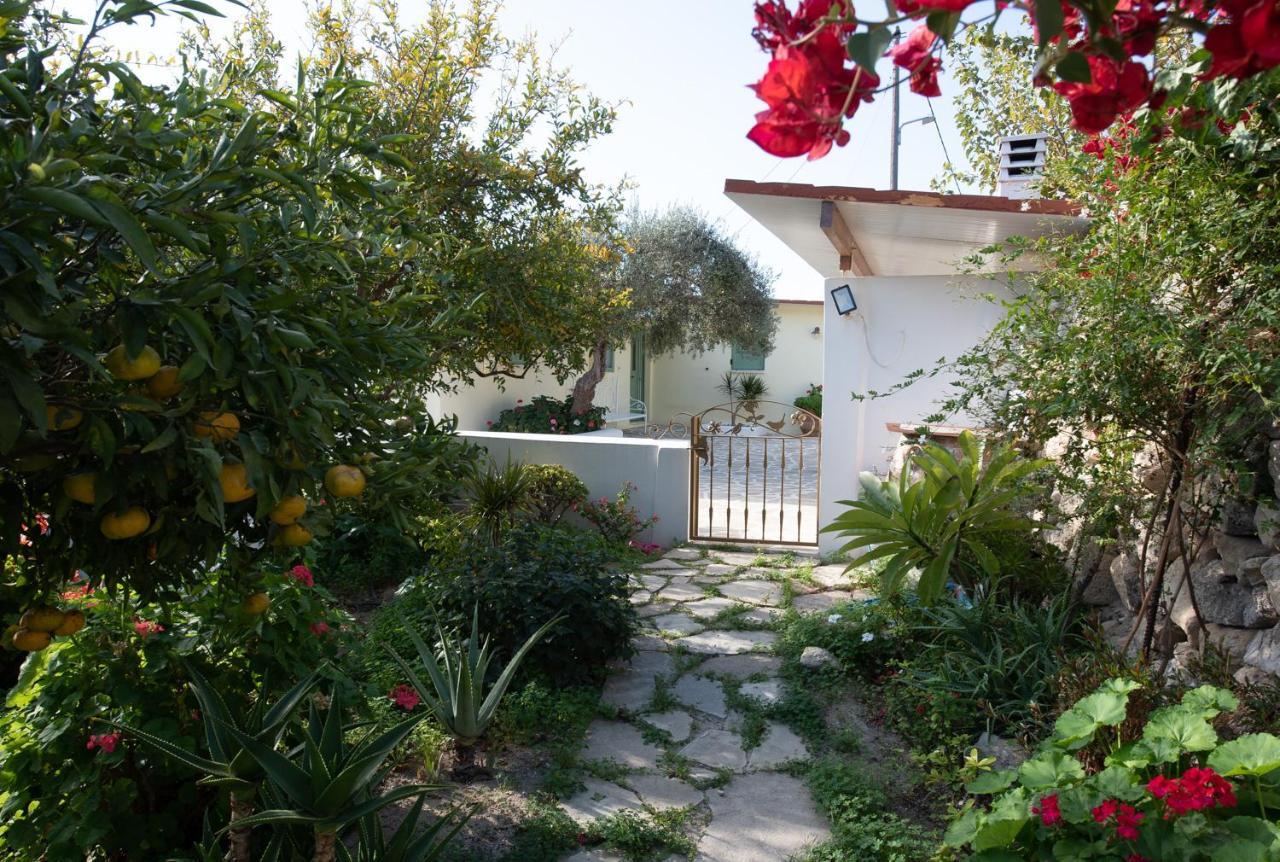 Arhondia House Villa Ierapetra  Exterior photo