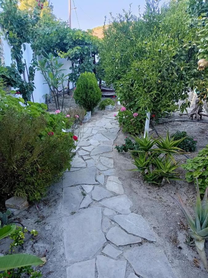 Arhondia House Villa Ierapetra  Exterior photo