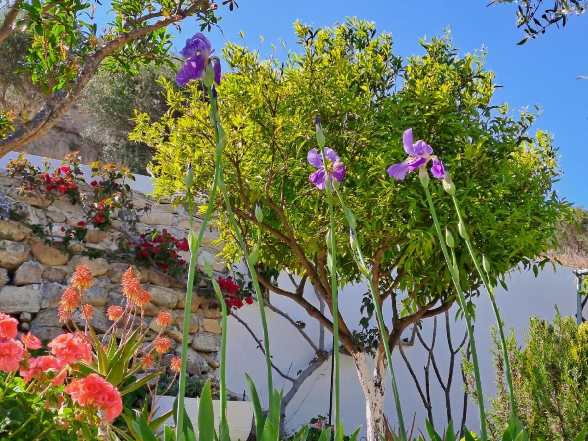 Arhondia House Villa Ierapetra  Exterior photo